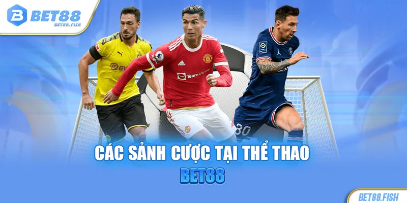 Các sảnh cược tại thể thao BET88