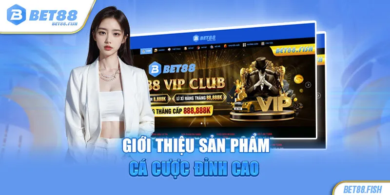 Giới thiệu sản phẩm cá cược đỉnh cao