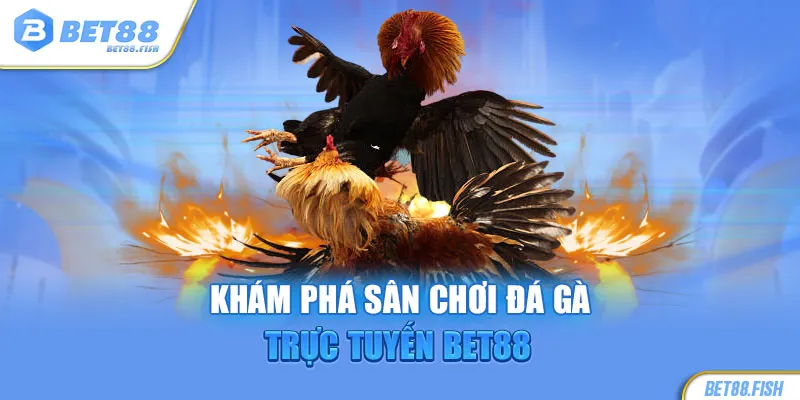 Khám phá sân chơi đá gà trực tuyến BET88