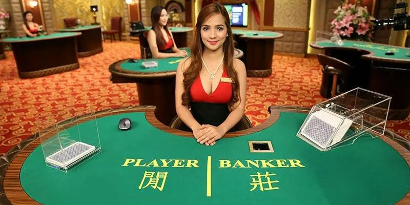 Tìm hiểu nhóm lừa đảo kéo Baccarat trên diễn đàn