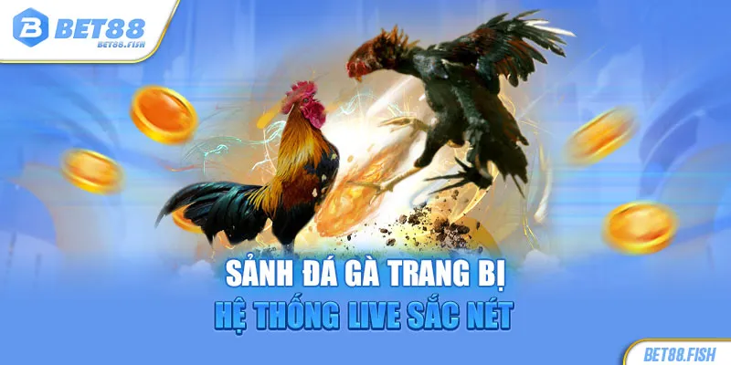 Sảnh đá gà trang bị hệ thống live sắc nét