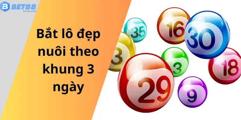 Bắt lô đẹp nuôi theo khung 3 ngày