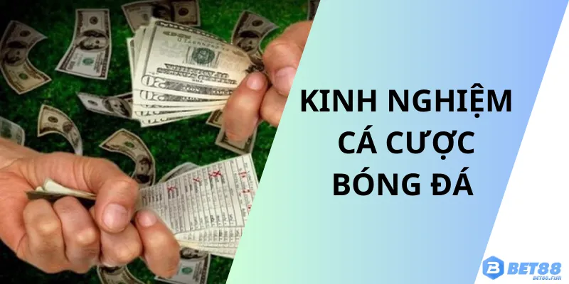 kinh nghiệm cá cược bóng đá